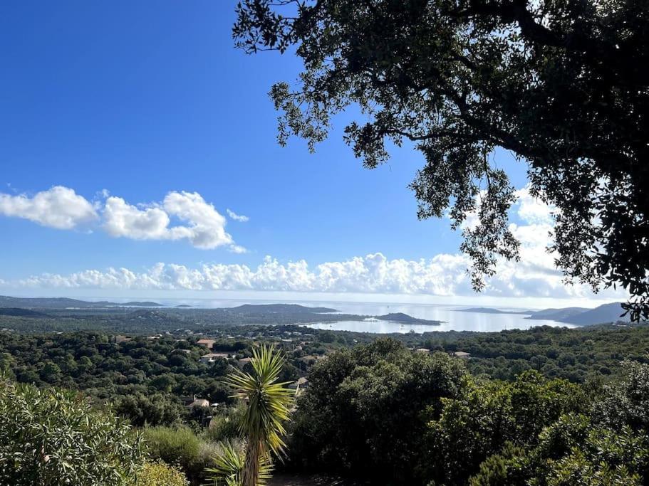 Magnifique Avec Piscine, Splendide Vue Mer. *